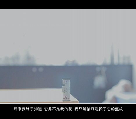 摩羯座