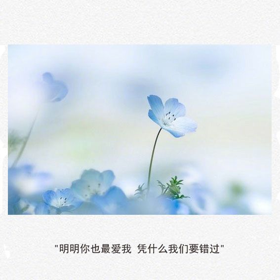 白羊座