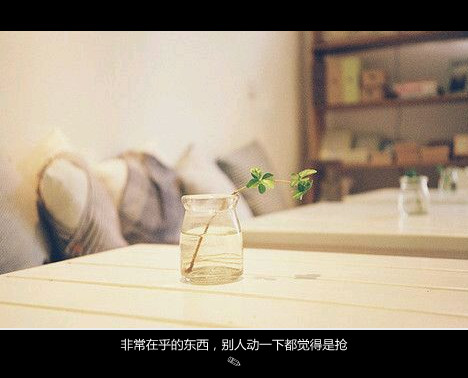 摩羯座男和巨蟹座女的性格合不合